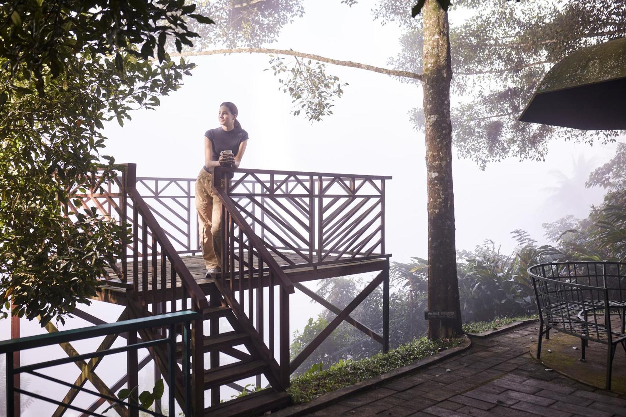 Forest Canopy Thekkady Extérieur photo