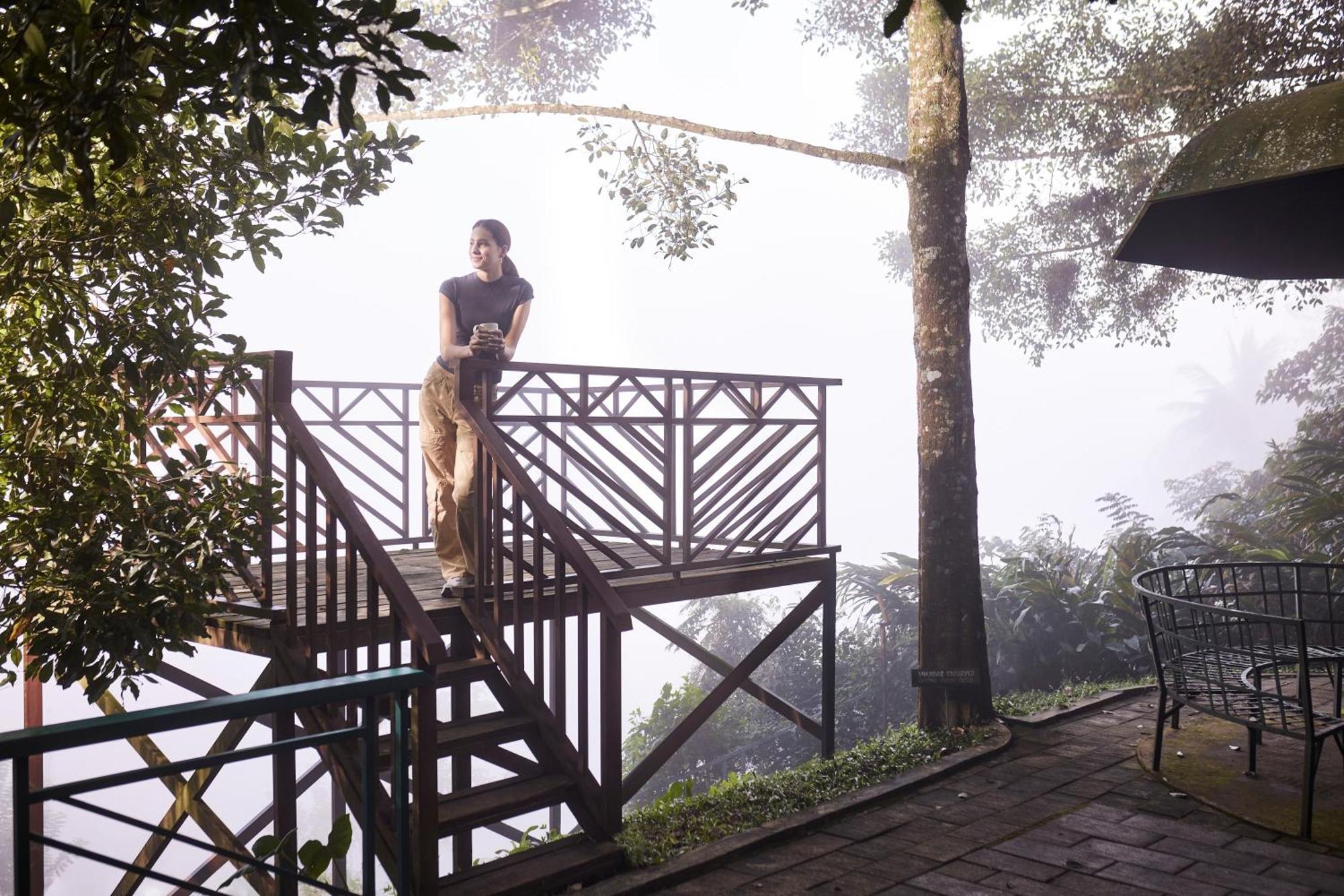 Hotel Forest Canopy Thekkady Extérieur photo